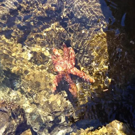 Family Biograd na Moru
