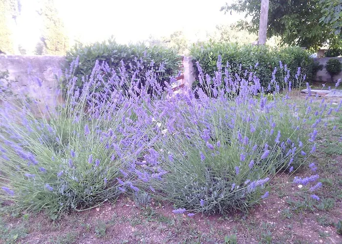 Апартаменты Family *