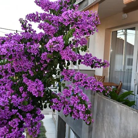 Family Apartment *