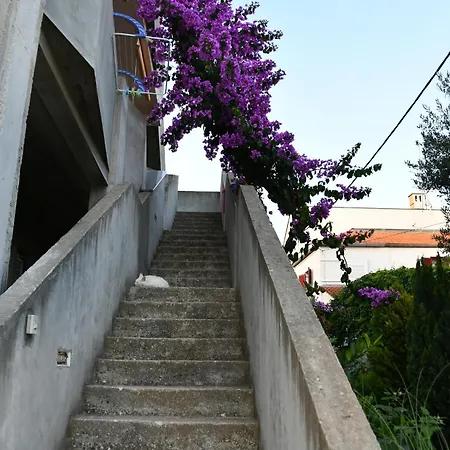 Apartment Family Biograd Na Moru